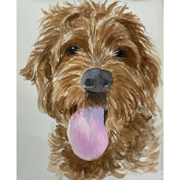 custom pet portraits, watercolor pet portraits, pet portraits in watercolor, dog portraits, cat portraits