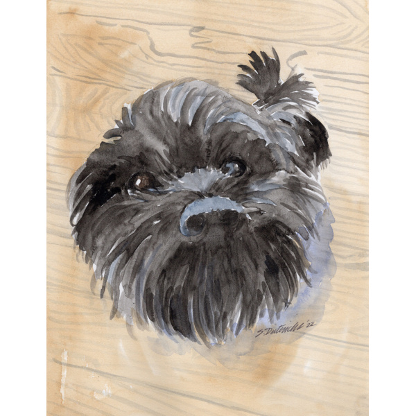custom pet portraits, watercolor pet portraits, pet portraits in watercolor, dog portraits, cat portraits
