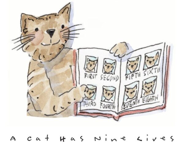 cat has nine lives illustration
