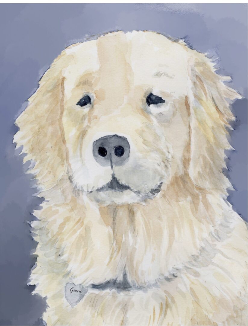 A Watercolor Pet Portraits of a golden retriever.