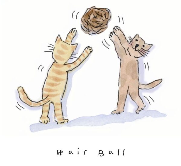 cat calendar illustration