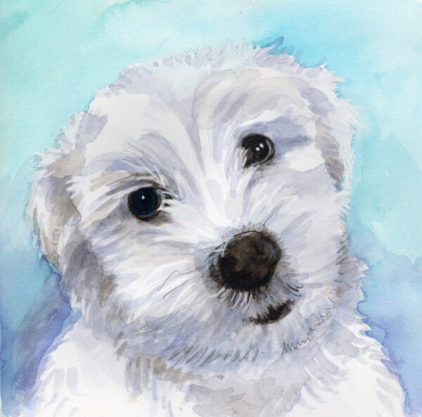 Watercolor pet portrait