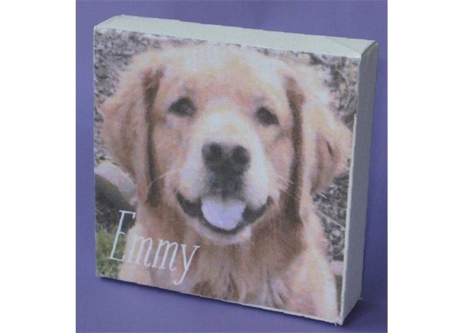 A photo of a golden retriever with the word Pet Portraits on it.