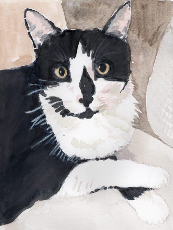 A black and white cat is sitting on the couch