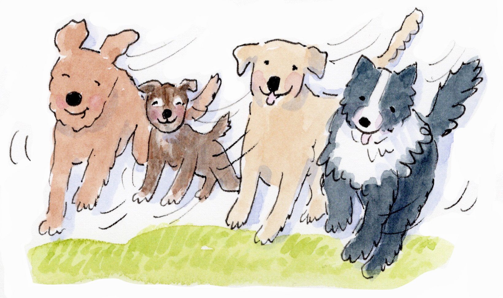 A watercolor illustration of a group of dogs running in the grass from the 2024 A Dog Of A Year Calendar.