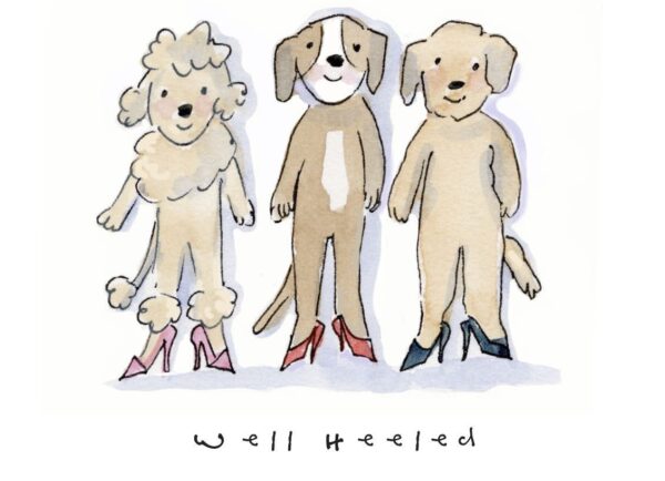 dog calendar illustration