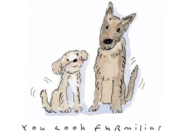Two dogs sitting, looking familiar.